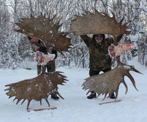 Moose kamchatka hunts image
