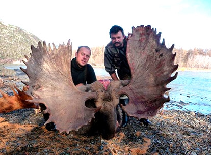 Russian giant moose hunt image