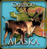 Caribou Hunt Alaska