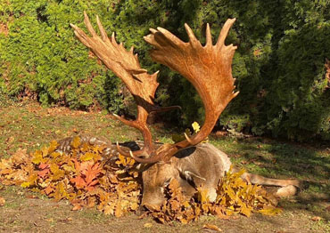 Hungarian Hunts