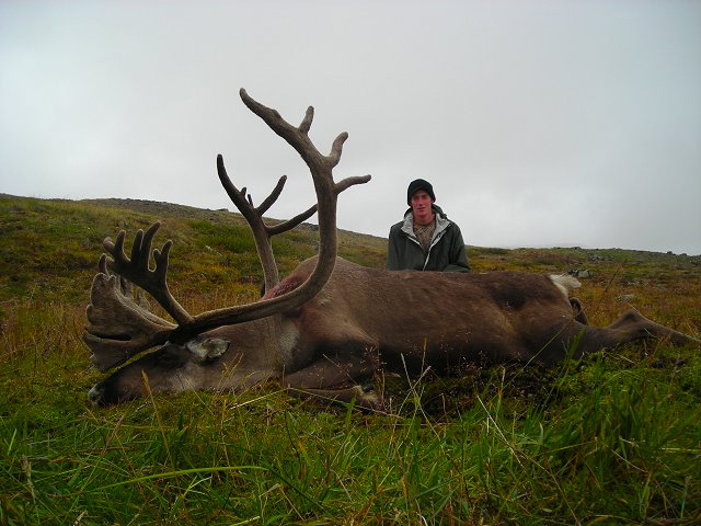 Alaskan Hunts image