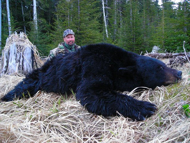 Alaskan Hunts image