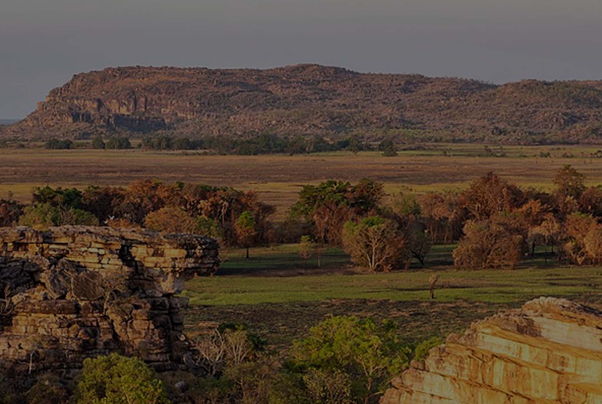 Australian background
