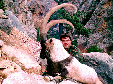 Turkish bezoar ibex hunt image