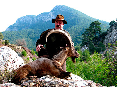 Turkish bezoar ibex hunt image