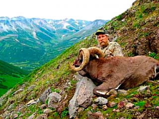 bighorn snow sheep hunt image