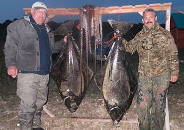 Fishing tours