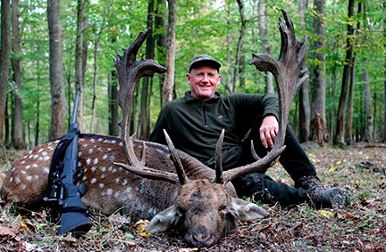 Hungarian fallow buck hunt image