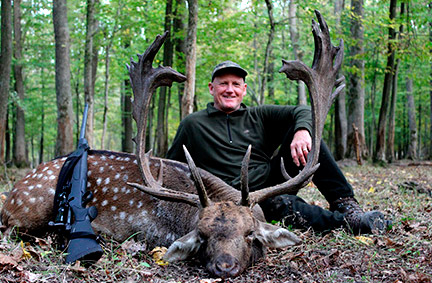 Hungarian fallow buck hunt image